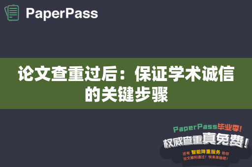 论文查重过后：保证学术诚信的关键步骤