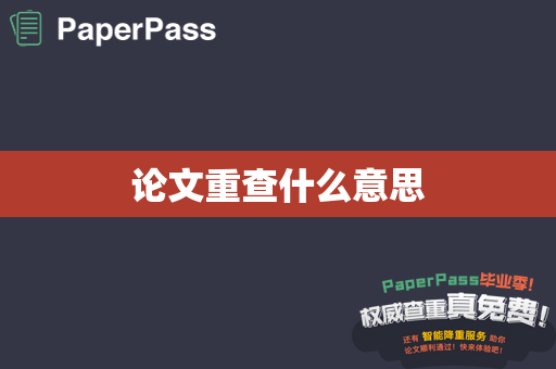 论文重查什么意思